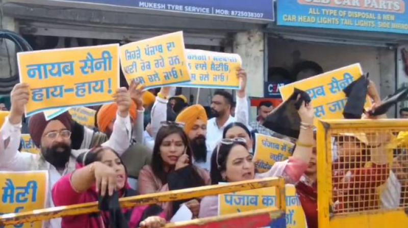 AAP greets Haryana CM Nayab Saini with black flags in Ludhiana, slams BJP for being anti Punjab File Photo.