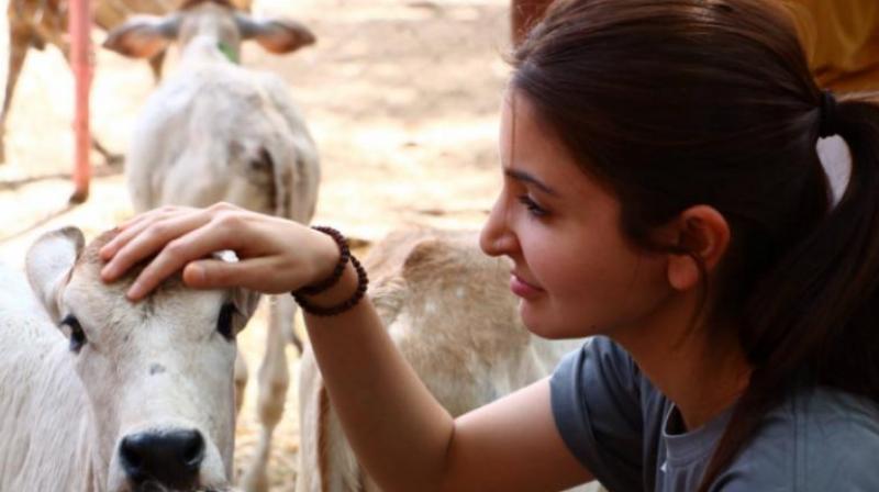 Anushka has been honoured for her wide-reaching work for animals