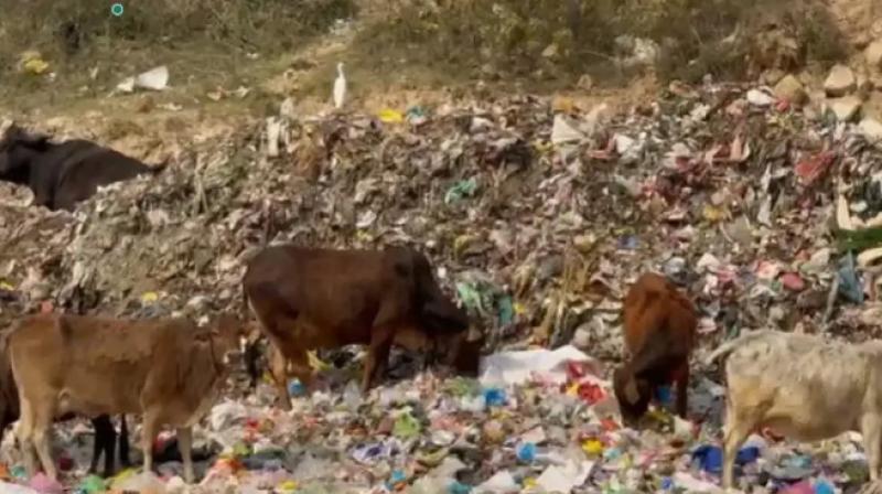 Uttarakhand: Haridwar Residents Demand Relocation of Dumping Yard as Domestic Waste Pollutes Ganga (IMage courtesy:TOI)