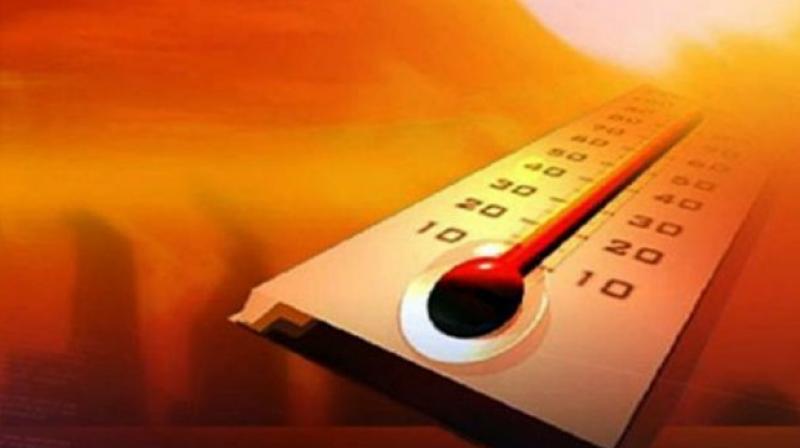 Heat conditions to continue