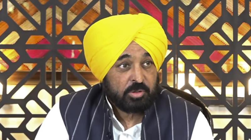 The cabinet noted that the Punjab government already launched the e-services portal to simplify land-related procedures. File Photo.