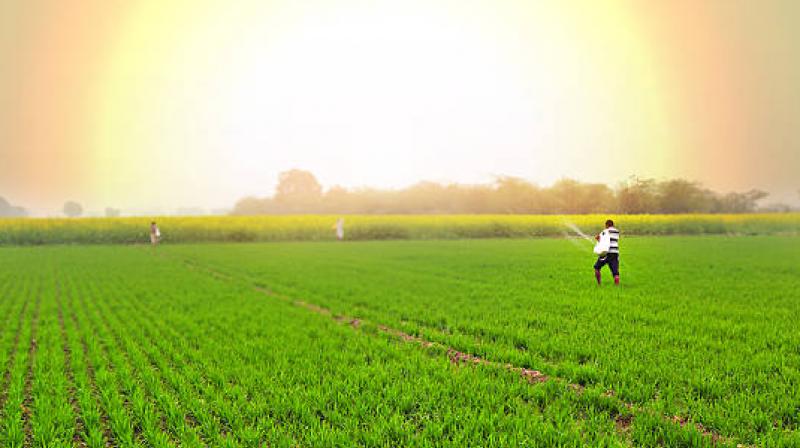 He also called on the hospitality industry to promote Geographical Indication (GI) tagged food products. File Photo.