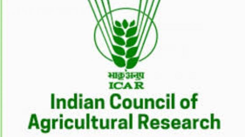 The ACASA project will work in collaboration with NICRA to align technologies with adaptation strategies through stakeholder engagement and workshops. File Photo.