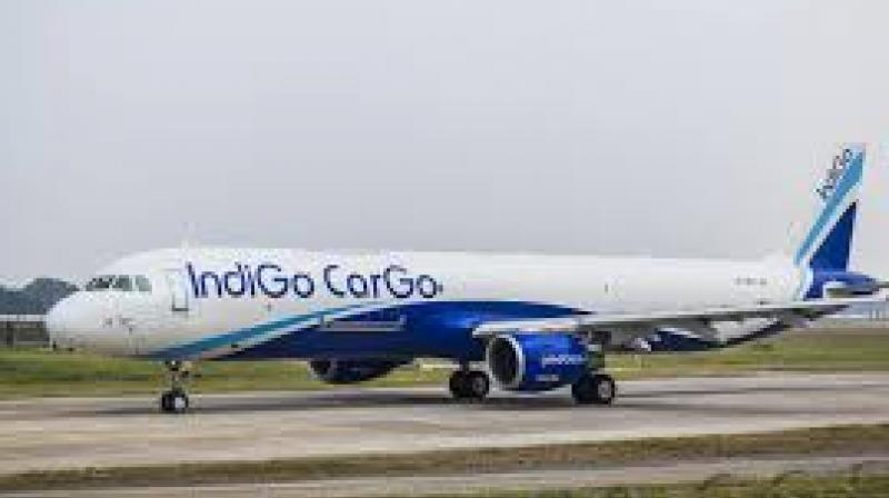 The regulator said that IndiGo did not make “adequate arrangements” to comply with the newly enforced duty-time rules. File Photo.