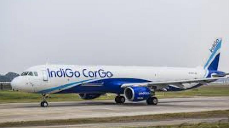 According to the Ministry of Civil Aviation, IndiGo has already processed over INR 610 crore in refunds and returned thousands of misplaced baggage items. File Photo.