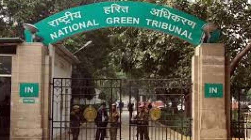 During Monday's session, the NGT examined the submissions, including evidence that reservoir levels continued to rise despite forecasts of heavy rainfall by the India Meteorological Department.  File Photo.
