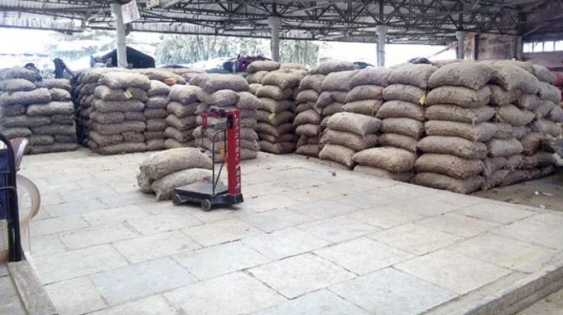 Vashi wholesale market