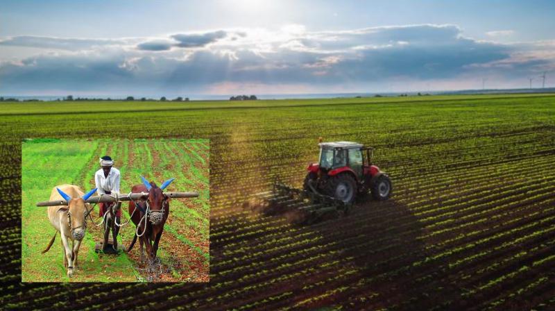 Cabinet Approves Prime Minister Dhan-Dhaanya Krishi Yojana