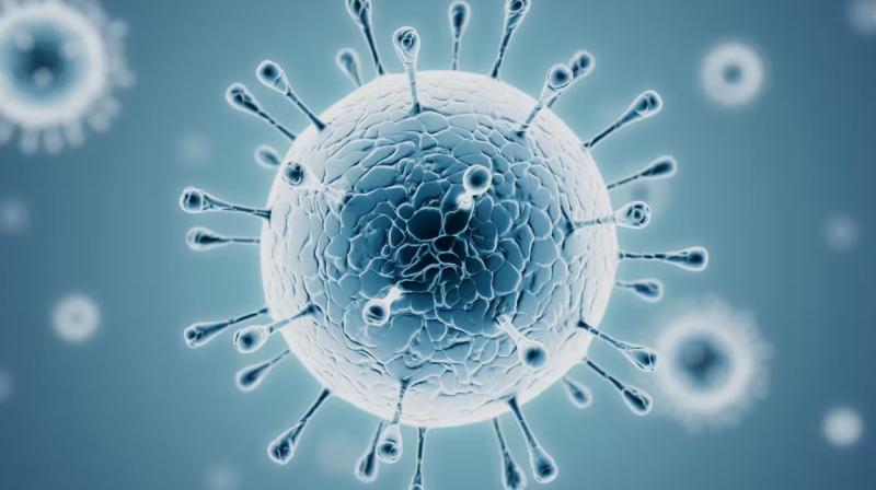 India Corona Cases News: Rising COVID-19 Cases in the Country, 2 Deaths Reported in Last 24 Hours (Representative image)