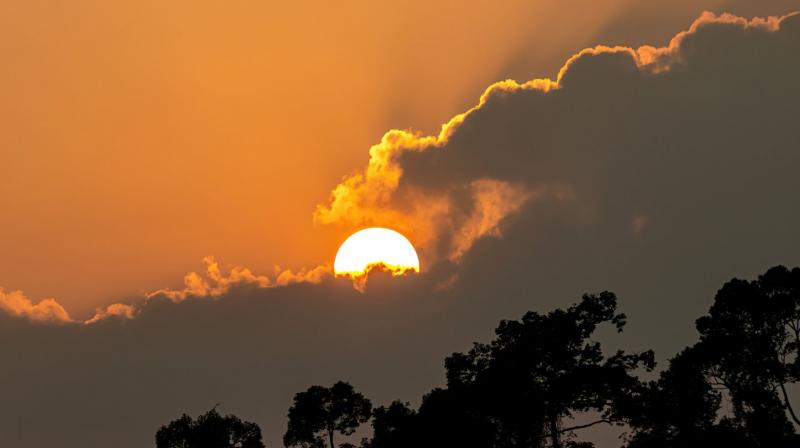 Mohali Health Officials Urge Caution as Heatwave Intensifies