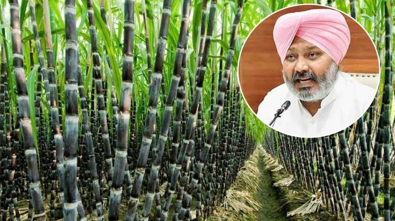 IPRD Punjab: Finance Minister Harpal Singh Cheema Assures Early Release of Sugarcane Dues to Farmers