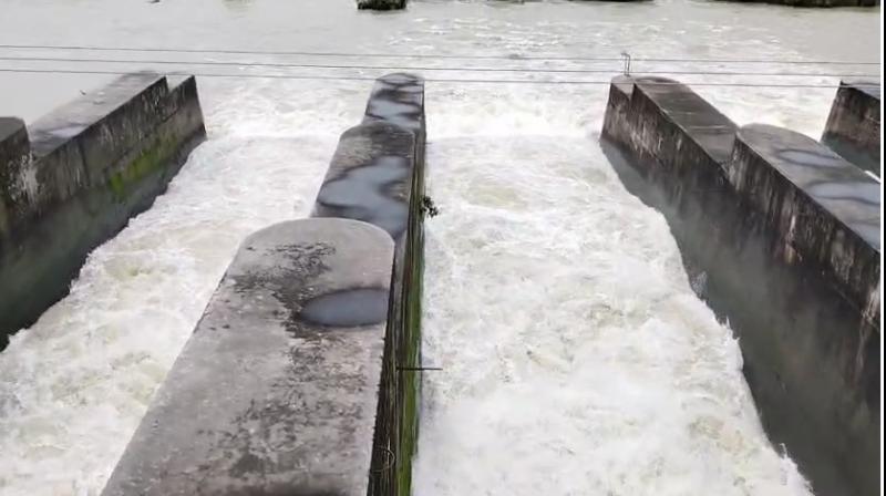 Pong Dam Water Level Rises by 6 Feet; 13 Feet Below Danger Mark, 4 Floodgates Opened by 2 Feet