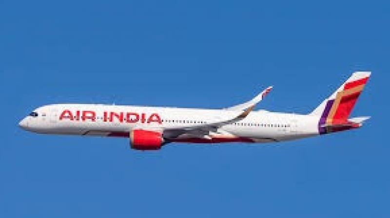 Air India Colombo-Chennai Flight Carrying 158 Passengers Suffers A Bird Hit (Representative Image)