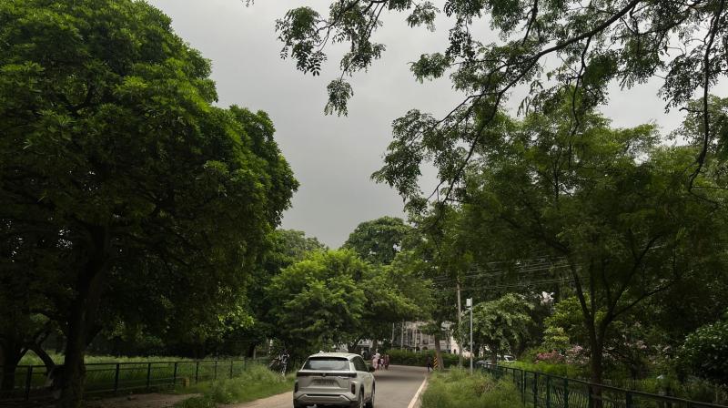 Punjab Weather Updates: IMD Chandigarh Issues Yellow Alerts for Several Districts