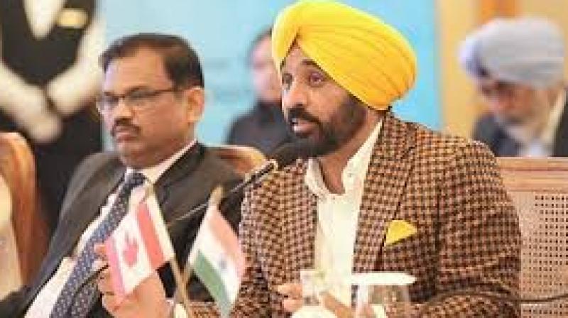 CM Mann highlighted Punjab's economic strengths and identified the state as a leader in agro-processing, textiles, engineering goods, IT services, and renewable energy. File Photo.