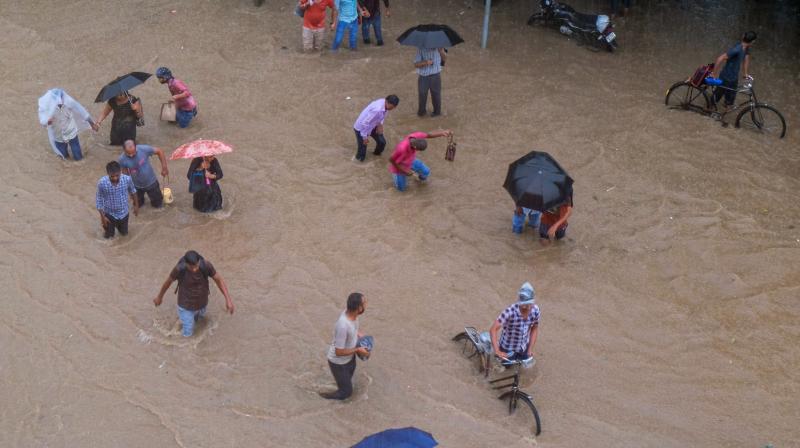 Punjab Weather Nowcast: Red Alert issued in several Districts, Heavy Rainfall Predicted
