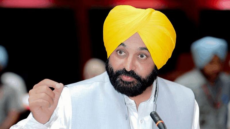 Punjab Government Enhances Pension for Freedom Fighters, Ensuring Dignity and Respect