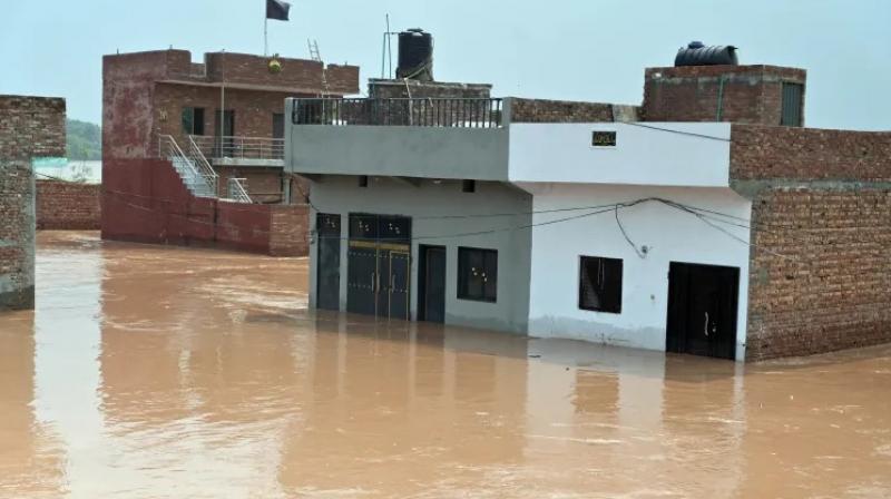 Punjab Floods: PWD To Check Strength & Structural Integrity Of Houses In Flood-Affected Villages
