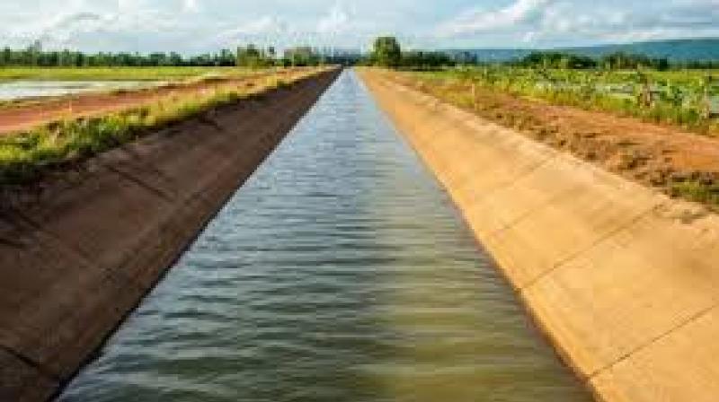 The Malwa Canal, a pet project of CM Bhagwant Mann, is designed to run parallel to the Sirhind Feeder and irrigate nearly 2 lakh acres across Muktsar, Ferozepur, and Faridkot districts. File Photo.