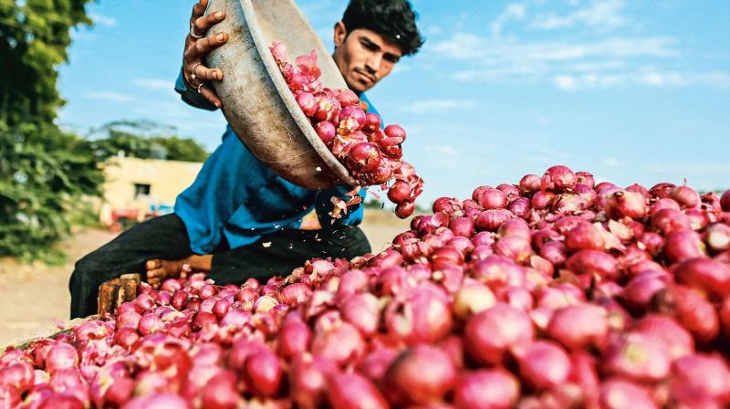 He also said that buffer stocks were released into the domestic market at very low prices, preventing rates from recovering and compelling farmers to sell at a loss.  File Photo.