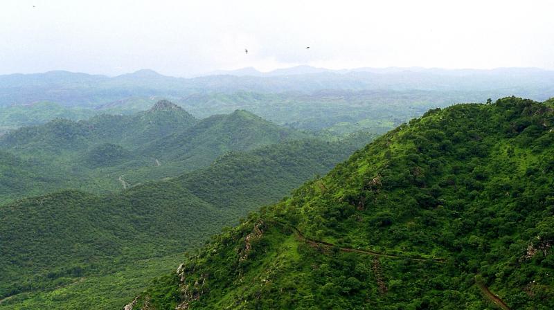 The court has put in abeyance its earlier directions until the new committee's report is considered, to prevent “regulatory gaps” that may undermine the ecological integrity of the region. File Photo.