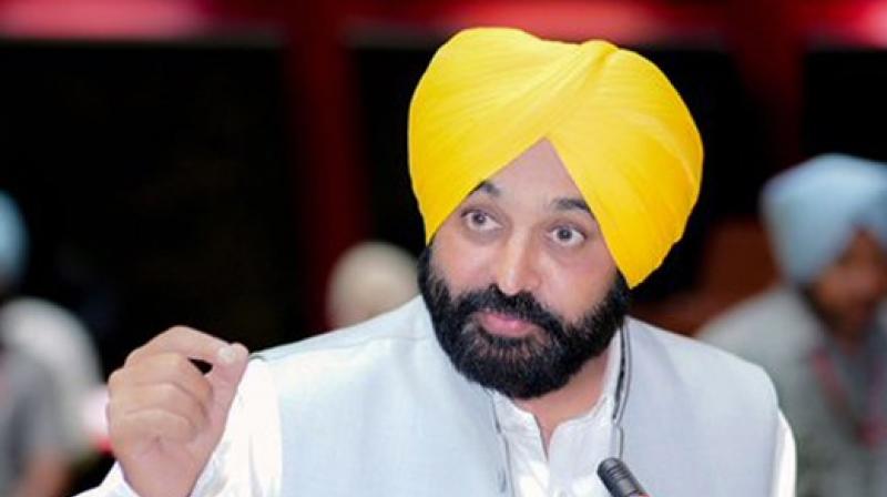 Mann Government Launches Punjab Youth Entrepreneurship Scheme to Boost Skill-Based Education