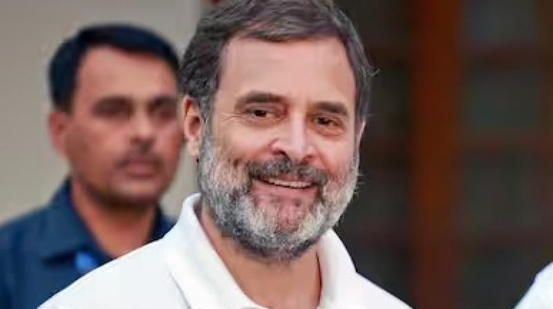 Allahabad High Court Reserves Order on Plea Against Rahul Gandhi's Alleged Remarks on Sikhs' Rights