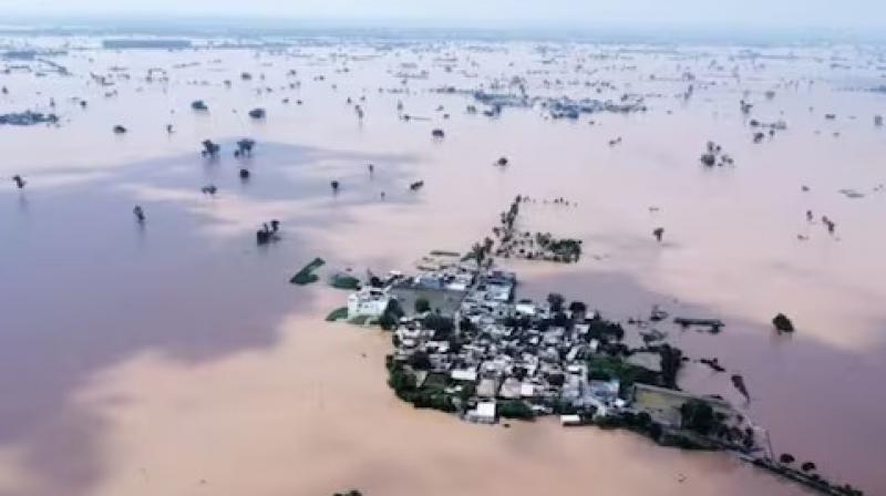 Punjab News: Human Rights Panel Directs Firms to Contribute CSR Funds for Flood Relief