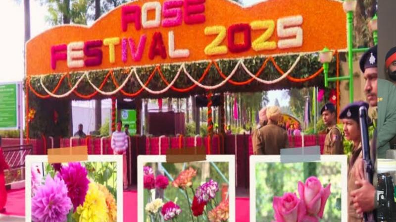  The 53rd Rose Festival in chandigarh on Zero-Budget