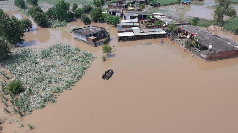 CM Mann's ‘Mission Chardi Kala' Inspires Generous Contributions for Punjab's Flood Recovery; Funds Being Distributed Simultaneously