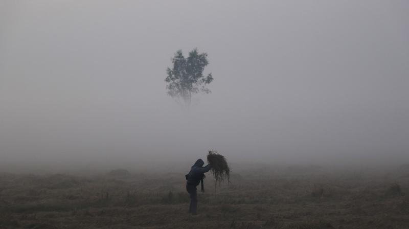 Cold Grips Kashmir: Srinagar city records the second coldest night of this winter season 