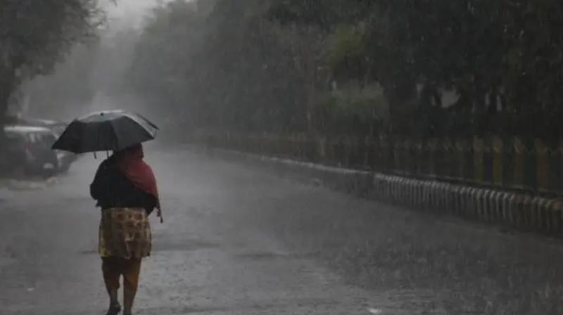 Punjab Weather update: IMD issues High Alert in North India 