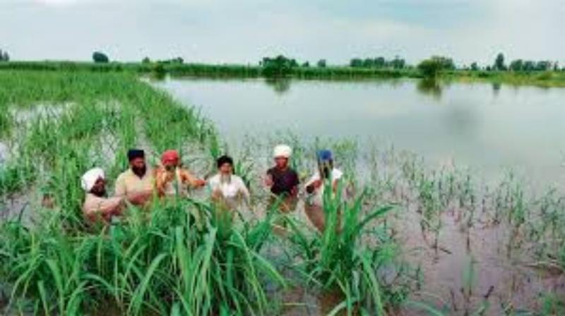 Beas River Water Level increases raising concerns in Punjab