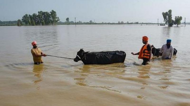 Flying Rivers: Heavy Rainfall Leads To Devastating Floods in India