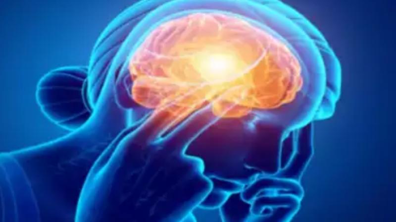 What is the new Brain Eating Virus Primary Amoebic Meningoencephalitis aka PAM? 