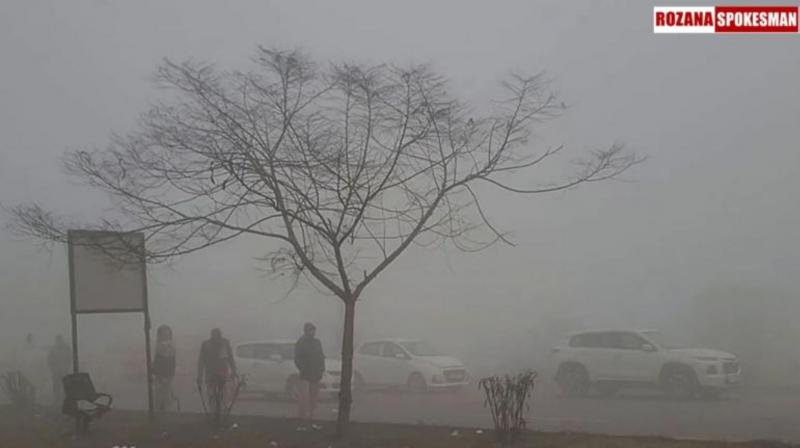 Punjab Weather Update Today: Drizzle and Fog Blanket Punjab and Chandigarh