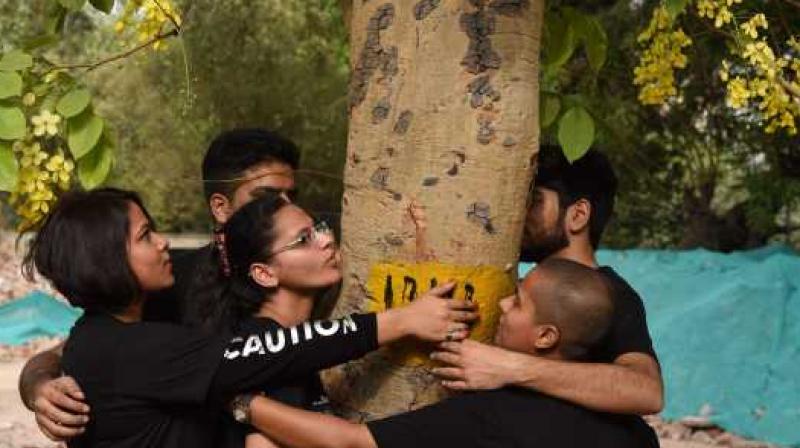 Not a single tree would be cut and status quo be maintained on tree felling