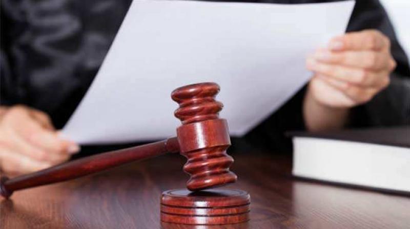 No interim order by HC against felling trees for south Delhi re-development