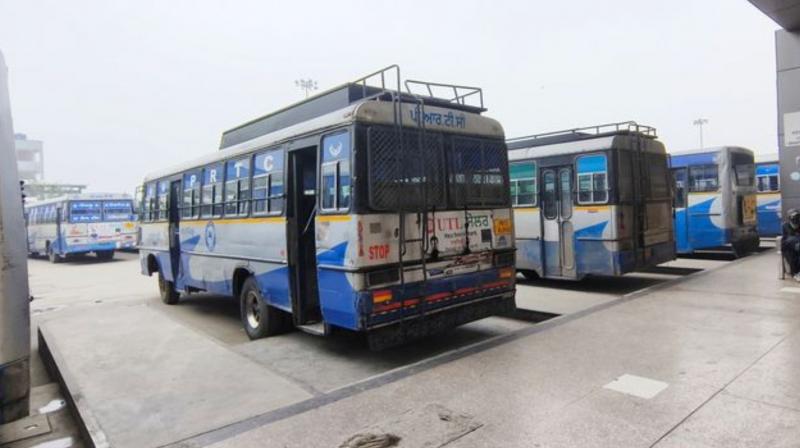 Punjab Roadways, PRTC Contractual Workers’ Strike Disrupts Bus Services Across the State