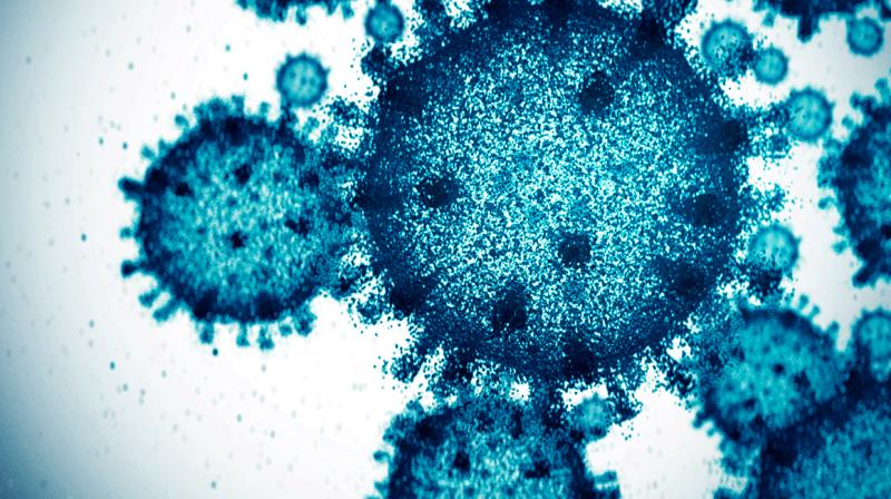 'No Active COVID-19 Cases' in Punjab, J1 Variant Mild and Contained