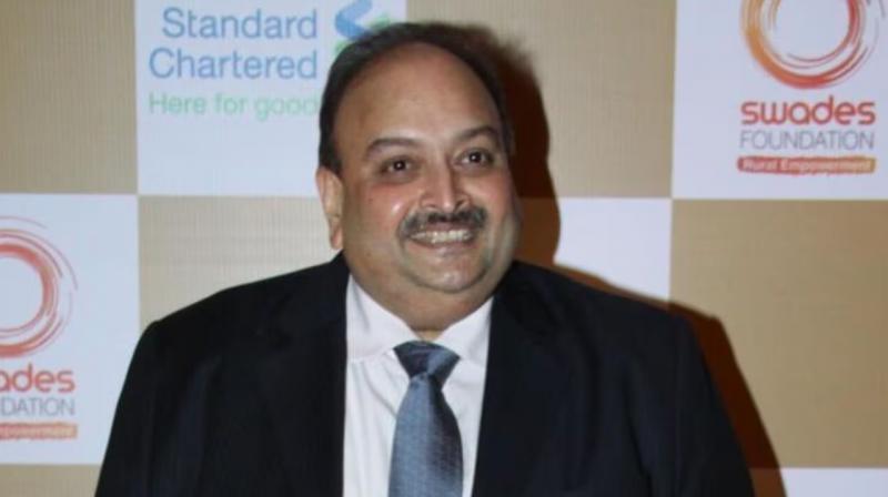 India Assures Belgium: No Solitary Confinement for PNB Fraud Fugitive Mehul Choksi if Extradited