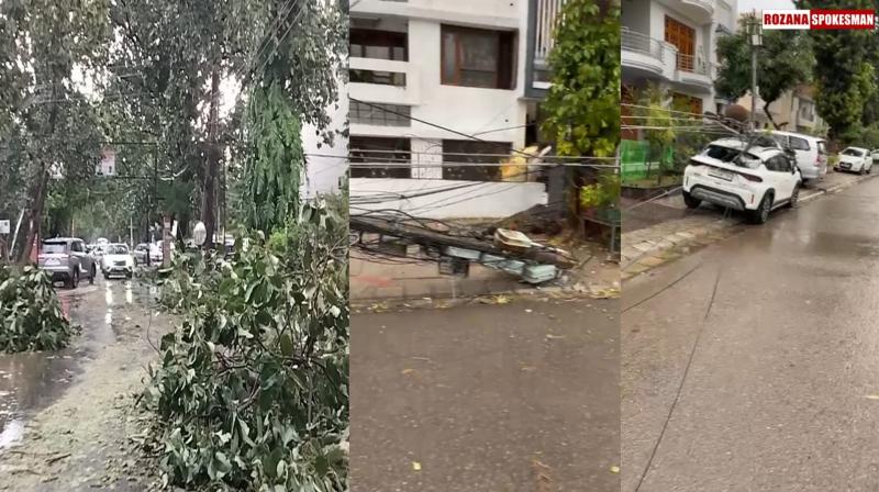 Electricity Poles, Trees Fall in Mohali After Strong Winds; Power Cut Likely for Two Days