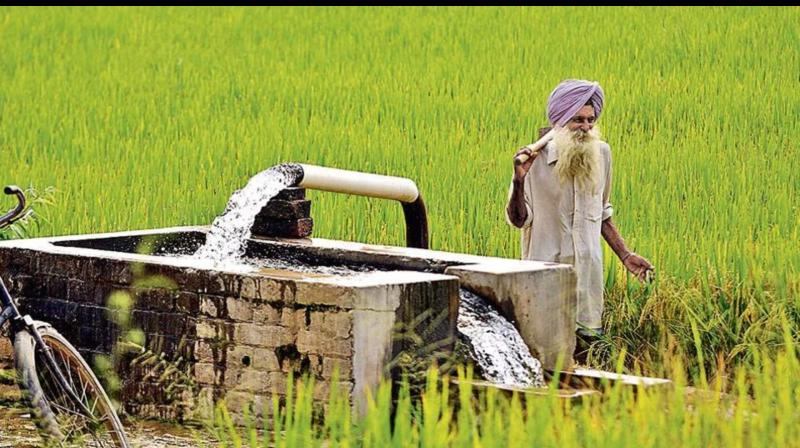 Union Budget 2024: Farmers in Punjab claim Budget 2024 "ignored" farming sector 