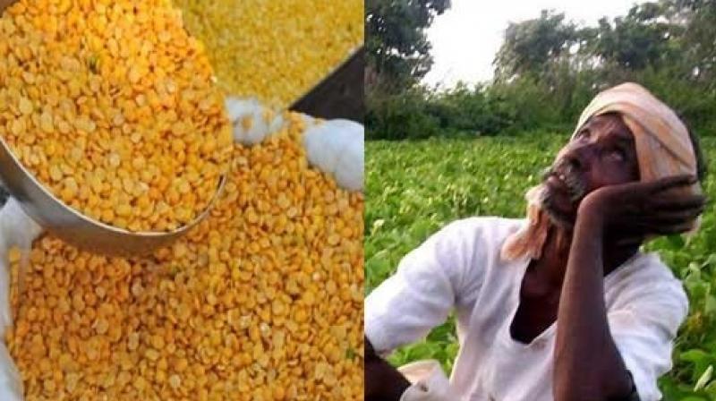 Maha announces financial aid for tur farmers