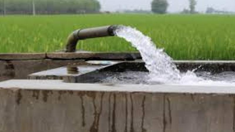 Regions dependent on agriculture and groundwater should read this as a wake-up call: more than ever, cropping patterns, water management and irrigation practices matter today. File Photo.
