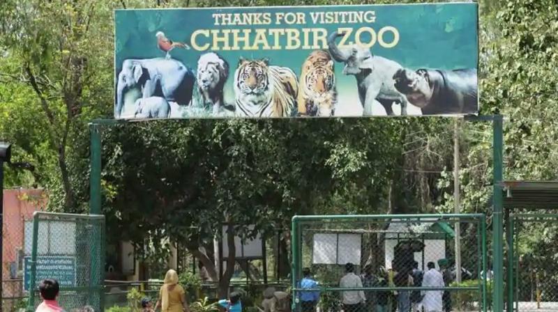 Chhatbir Zoo