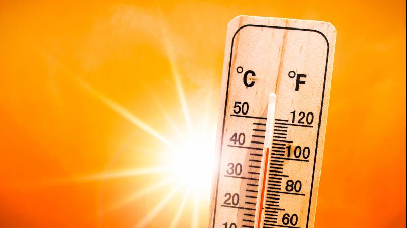 Punjab and Haryana Brace for Heatwave From May 21 to 23, Temperatures Soar to 46°C