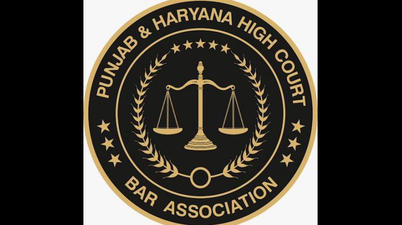 Punjab & Haryana High Court Bar Association on Strike Against Ravneet Kaur & Simran Blassi