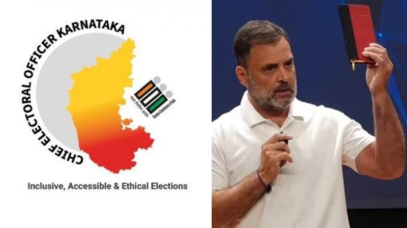 ECI Shared All Information in Aland Case, Says CEO Karnataka After Rahul Gandhi's Allegations