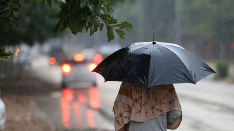 Punjab Weather Update: Here's What's IMD Says About Weather This Week 